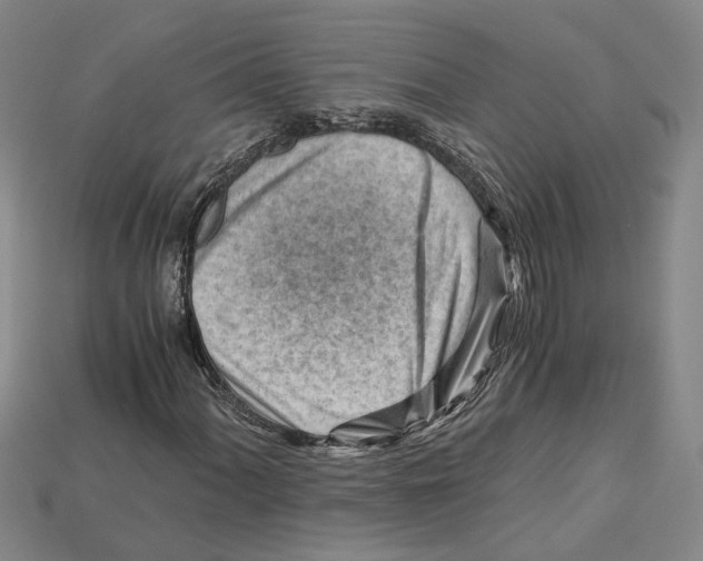 X0000114431060200911131327