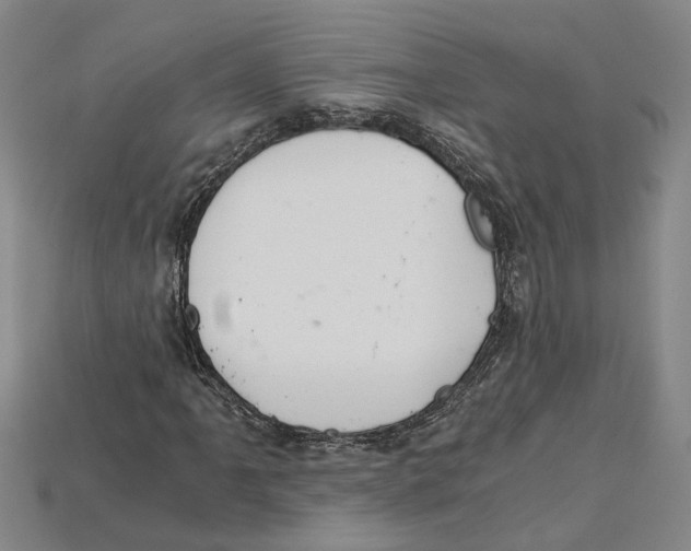 X0000114431061200911131327