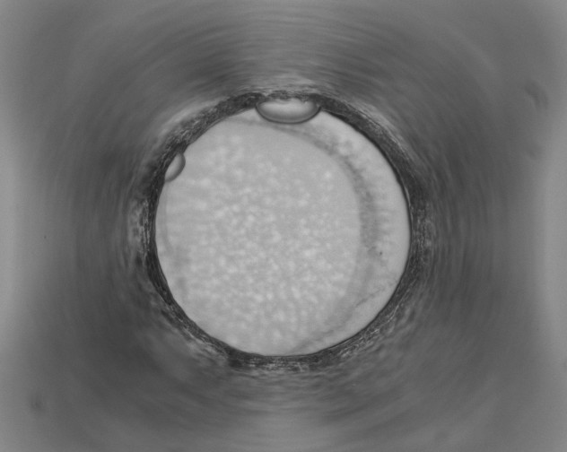 X0000114431063200911131327