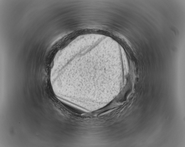 X0000114431064200911131327