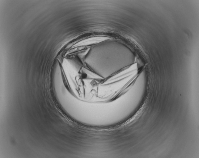 X0000114431065200911131327