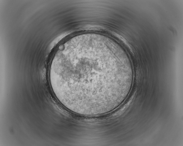 X0000114431066200911131327