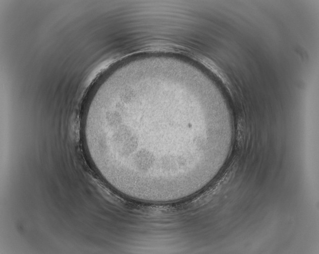 X0000114431067200911131327