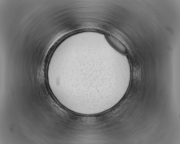 X0000114431068200911131327