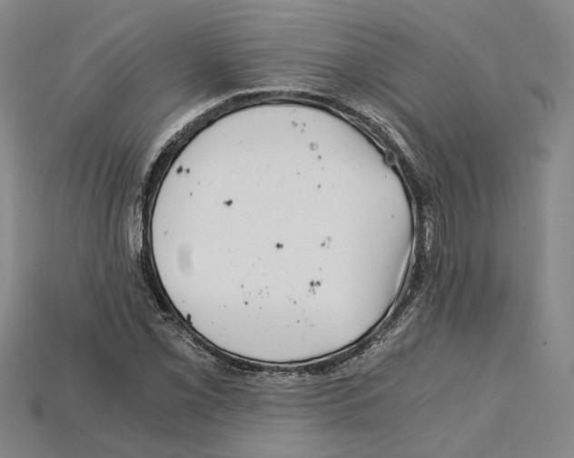 X0000114431069200911131327