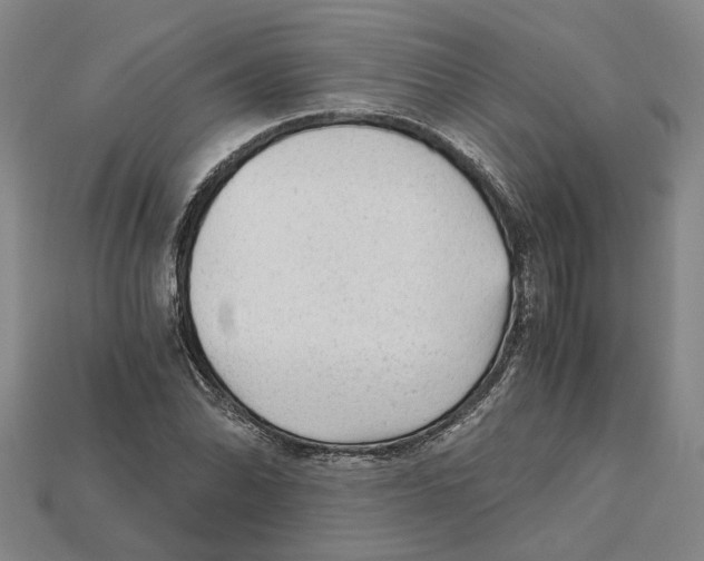 X0000114431070200911131327