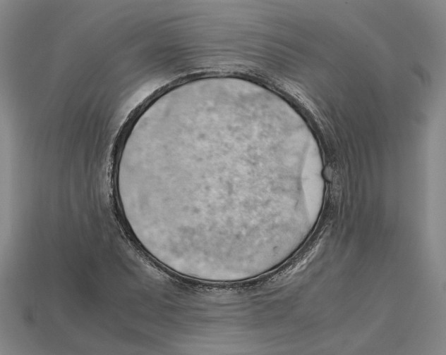 X0000114431071200911131327