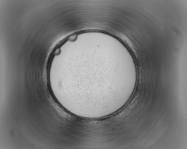 X0000114431072200911131327