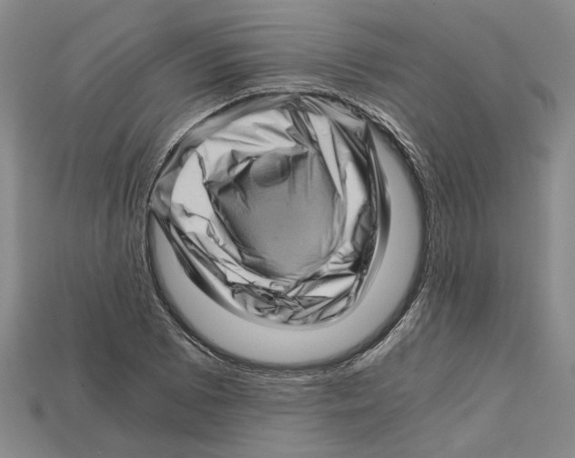 X0000114431073200911131327