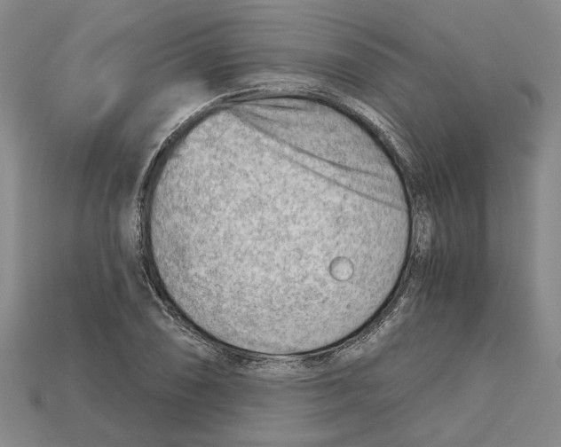 X0000114431074200911131327