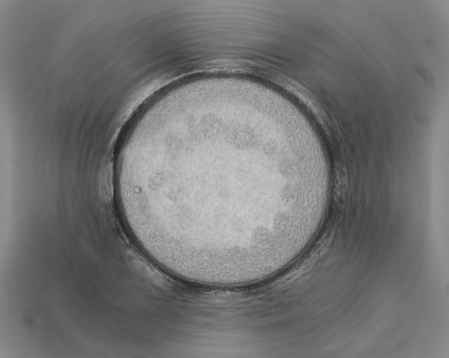 X0000114431075200911131327