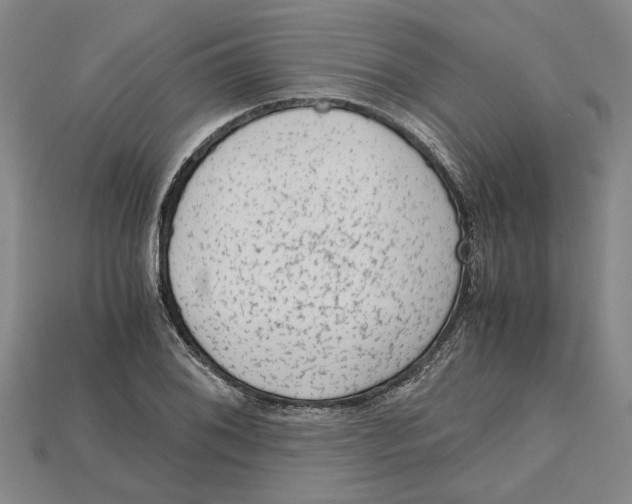 X0000114431076200911131327