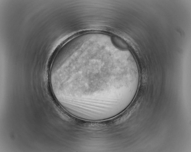 X0000114431077200911131327