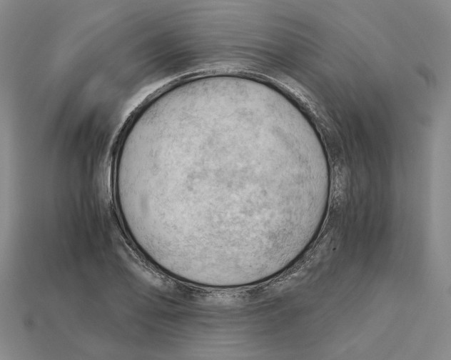 X0000114431078200911131327