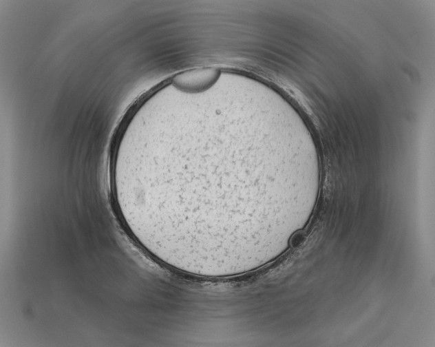 X0000114431080200911131327