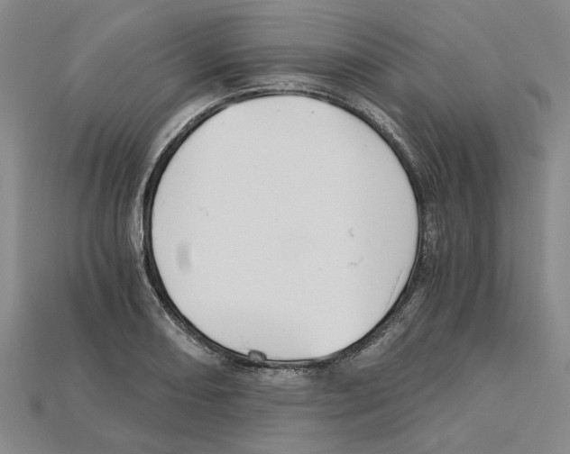 X0000114431082200911131327