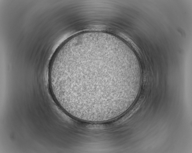 X0000114431083200911131327