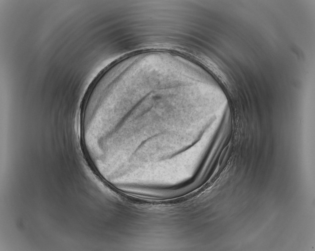 X0000114431084200911131327