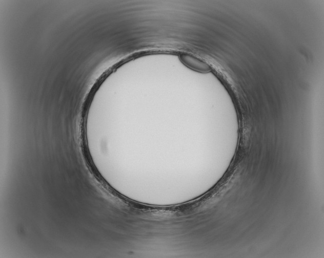 X0000114431085200911131327