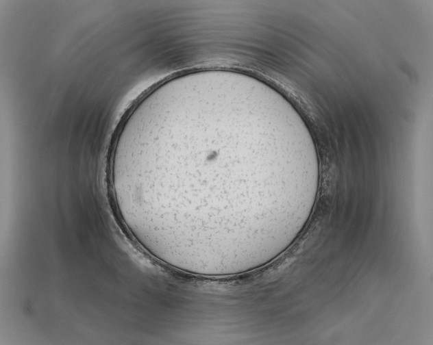 X0000114431086200911131327