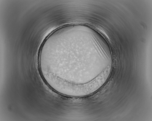 X0000114431087200911131326