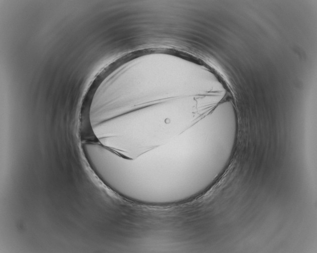 X0000114431088200911131326