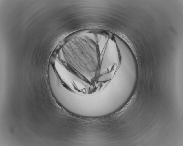 X0000114431089200911131326