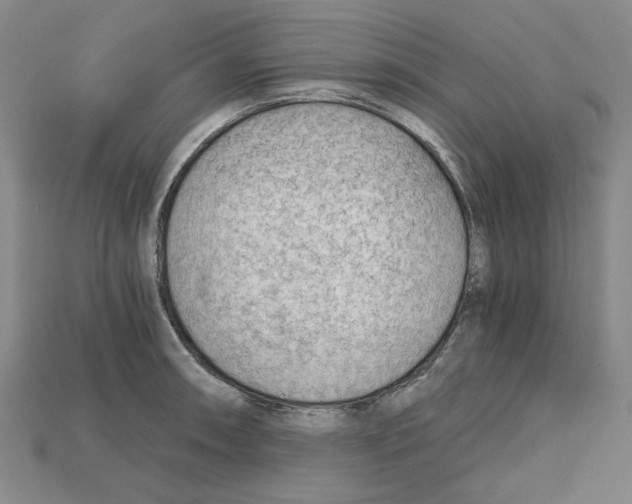 X0000114431090200911131326