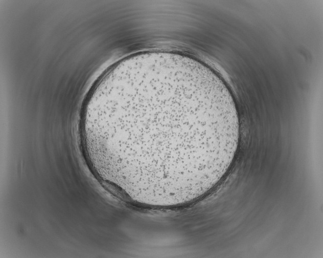 X0000114431091200911131326