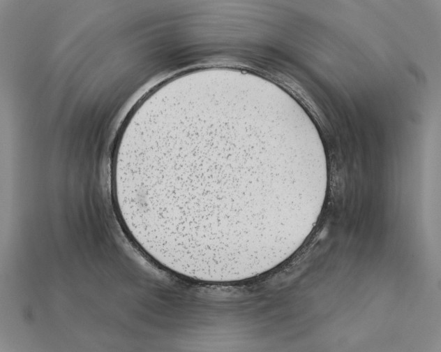 X0000114431092200911131326