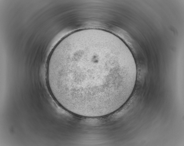 X0000114431094200911131326