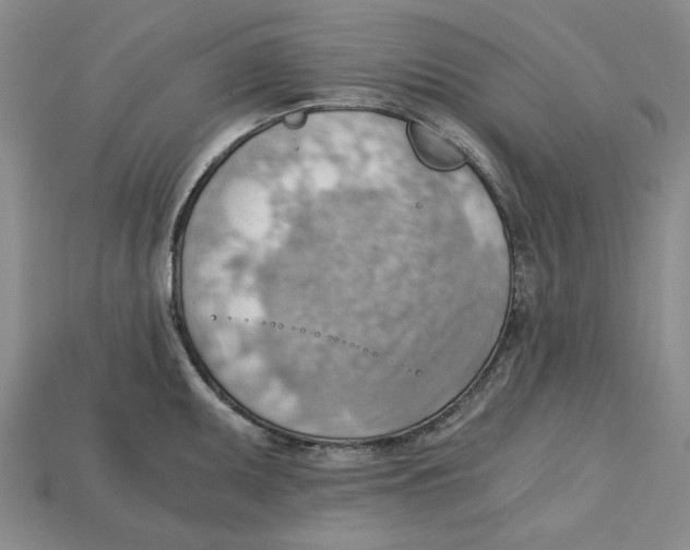 X0000114431095200911131326