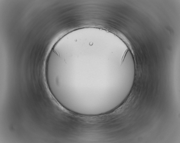 X0000114431096200911131326