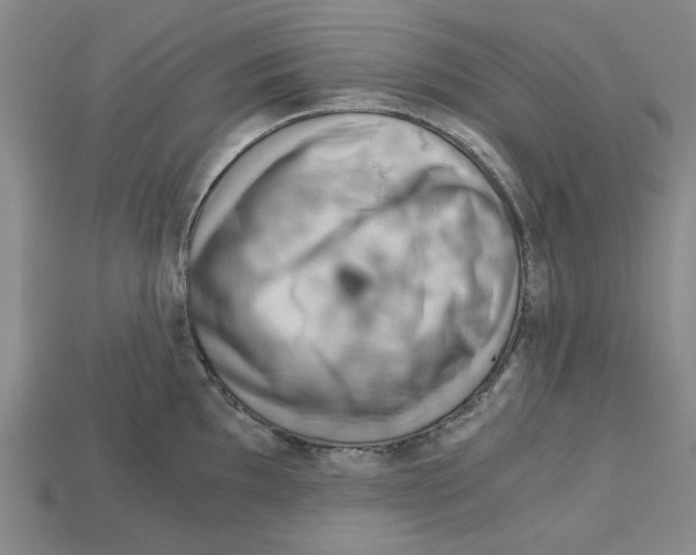 X0000114431097200911131326