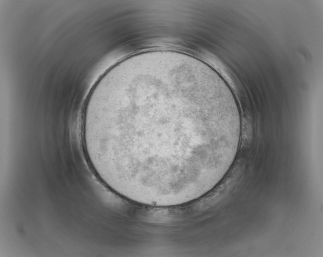 X0000114431098200911131326