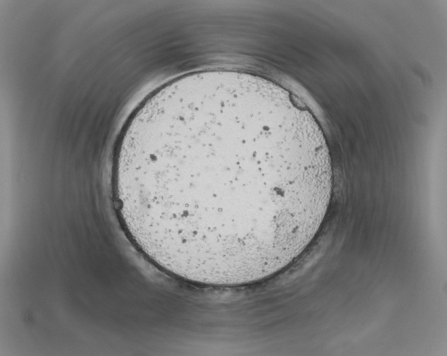 X0000114431099200911131326