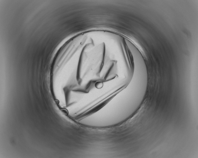 X0000114431100200911131326