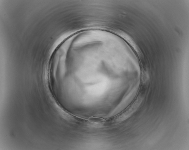 X0000114431101200911131326