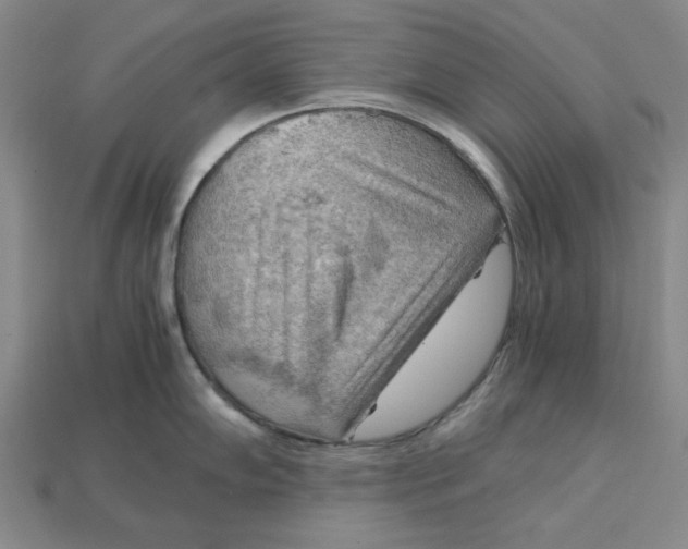 X0000114431102200911131326