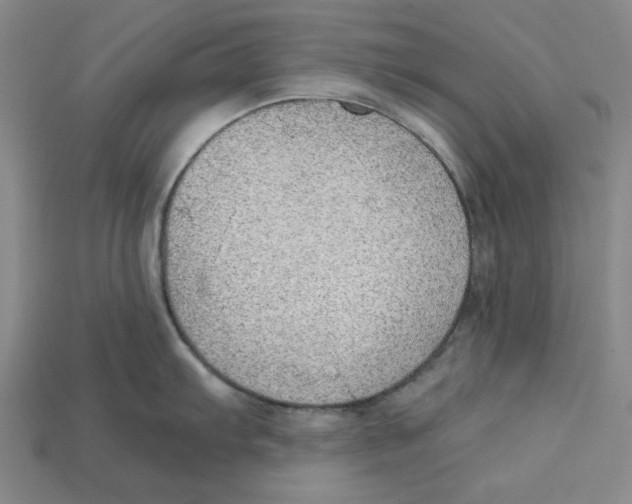 X0000114431103200911131326