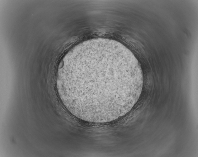 X0000114431105200911131325