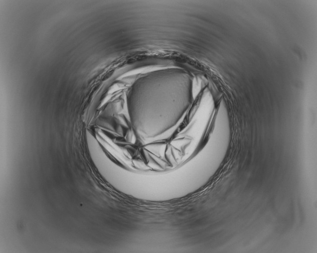 X0000114431110200911131325