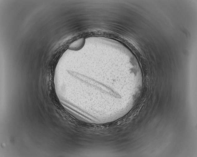 X0000114431111200911131325