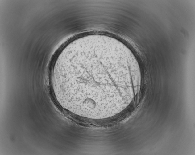 X0000114431118200911131325