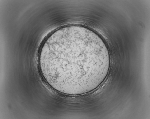 X0000114431119200911131326