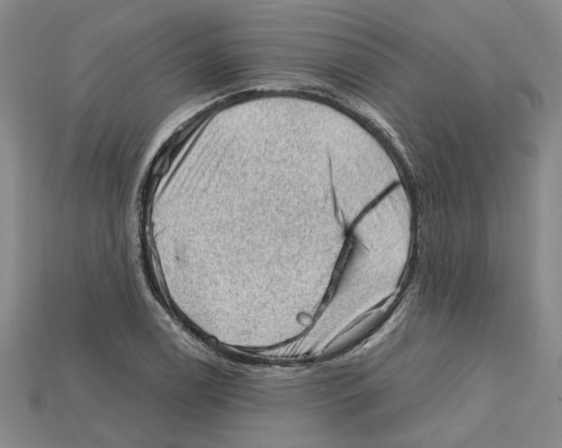 X0000114431122200911131326