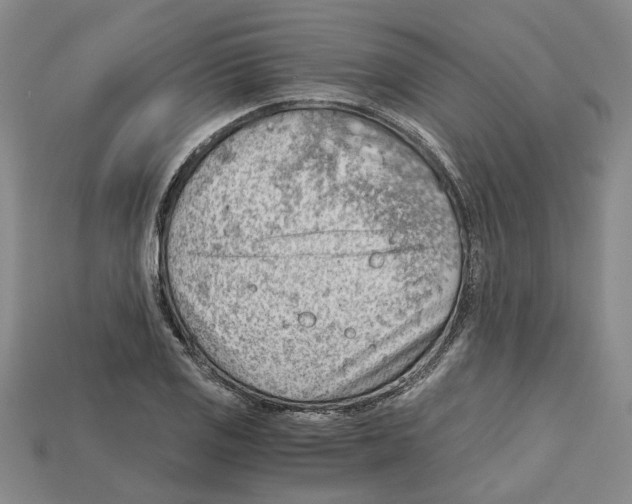 X0000114431125200911131326