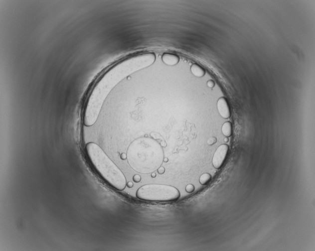 X0000114431126200911131326