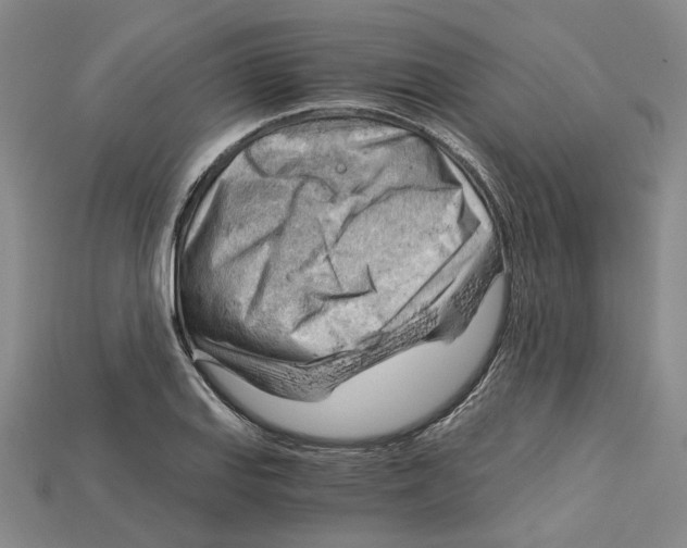 X0000114431127200911131326