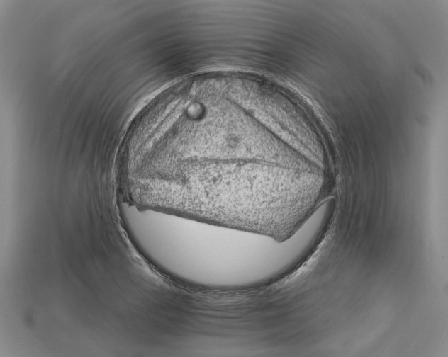 X0000114431129200911131326